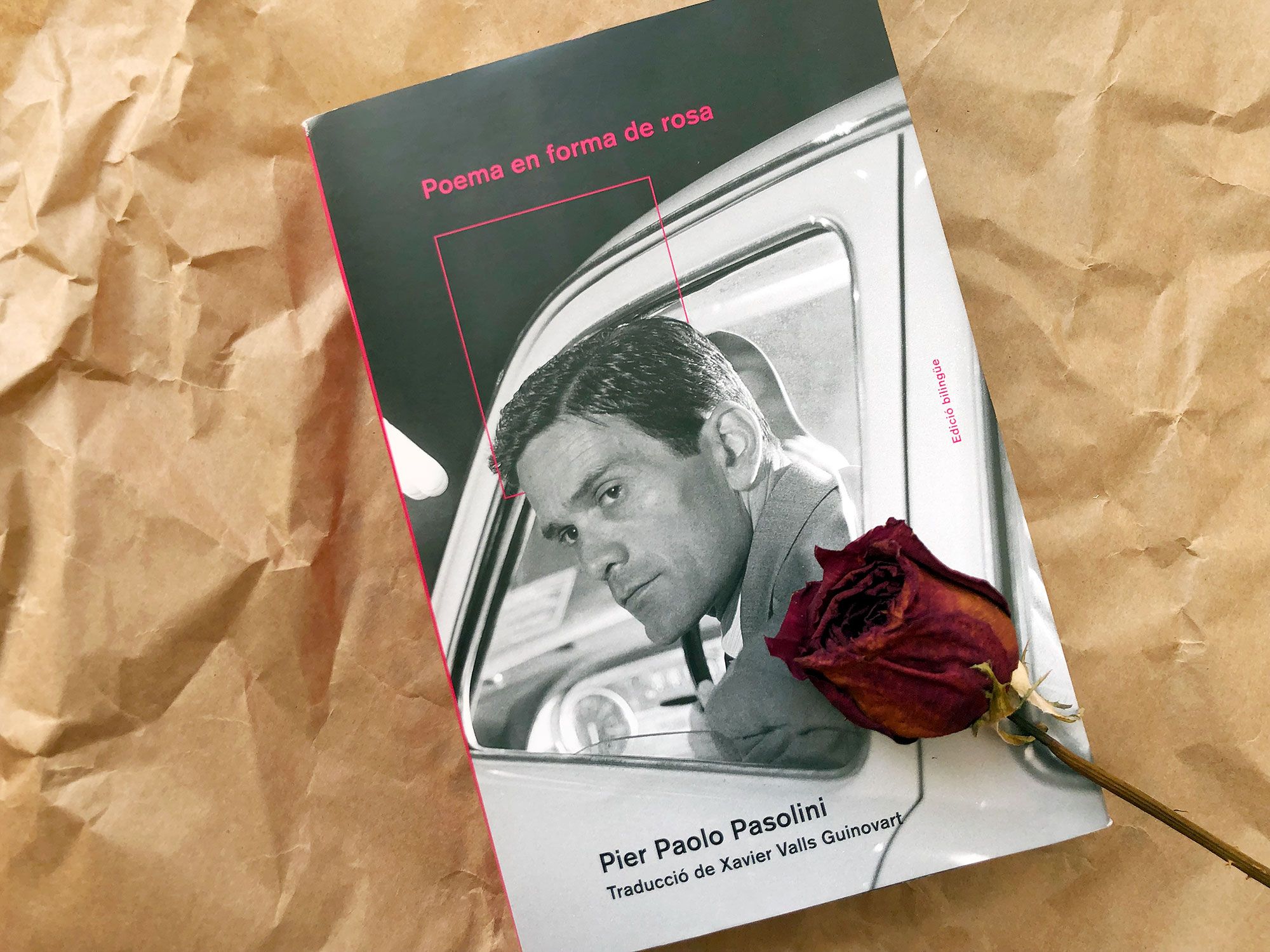 Llibre: Poema en forma de Rosa, Pier Paolo Pasolini