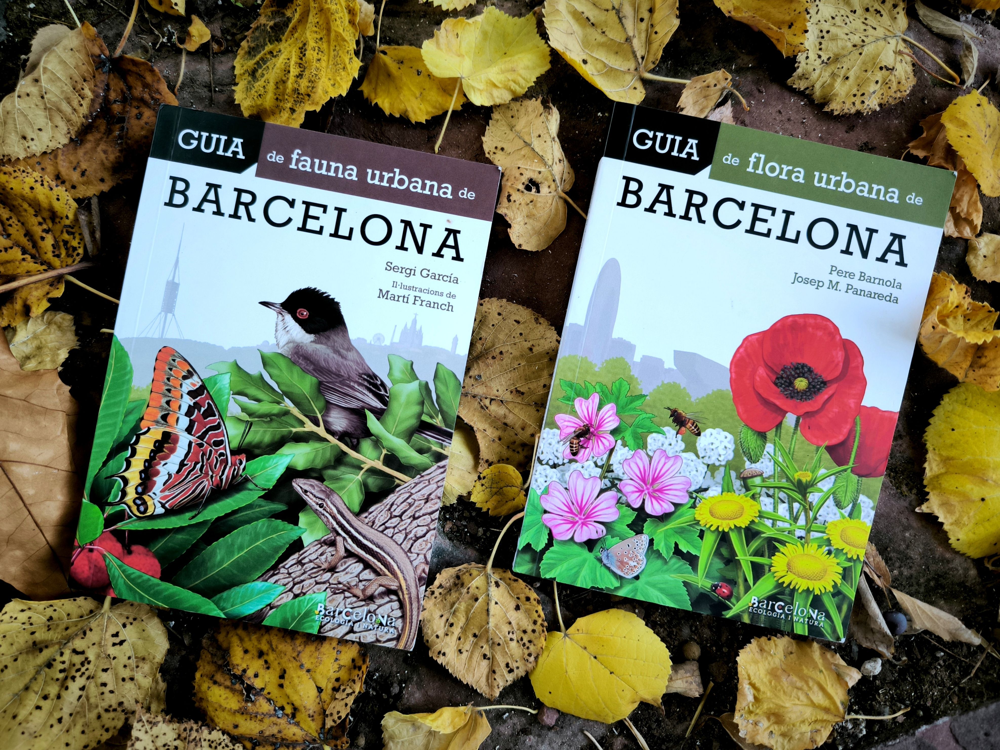 Animals flors barcelonins
