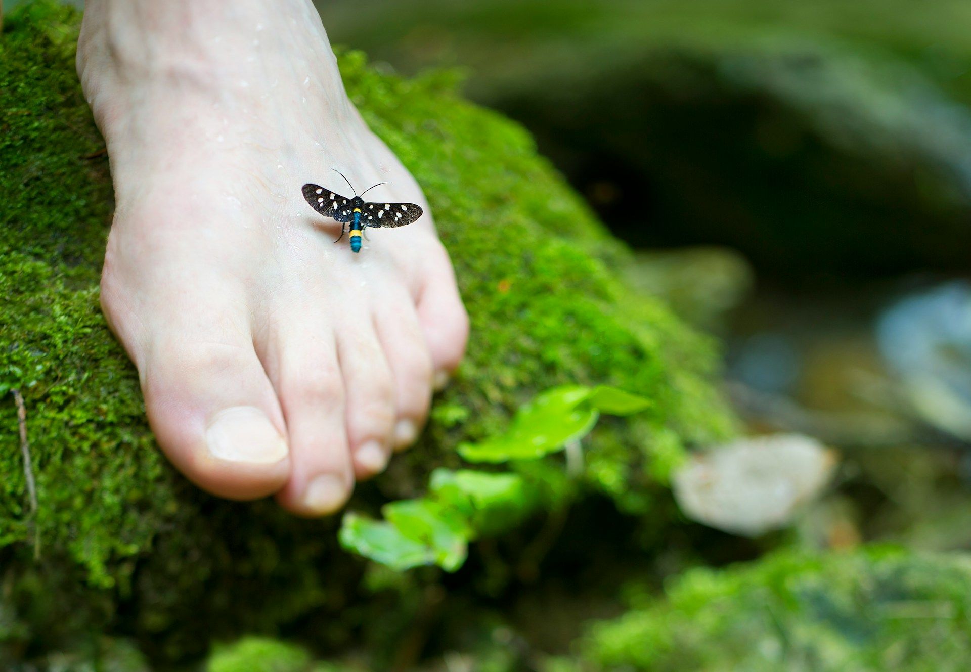 "La dona que es va plantar". Foto: Monica Silva