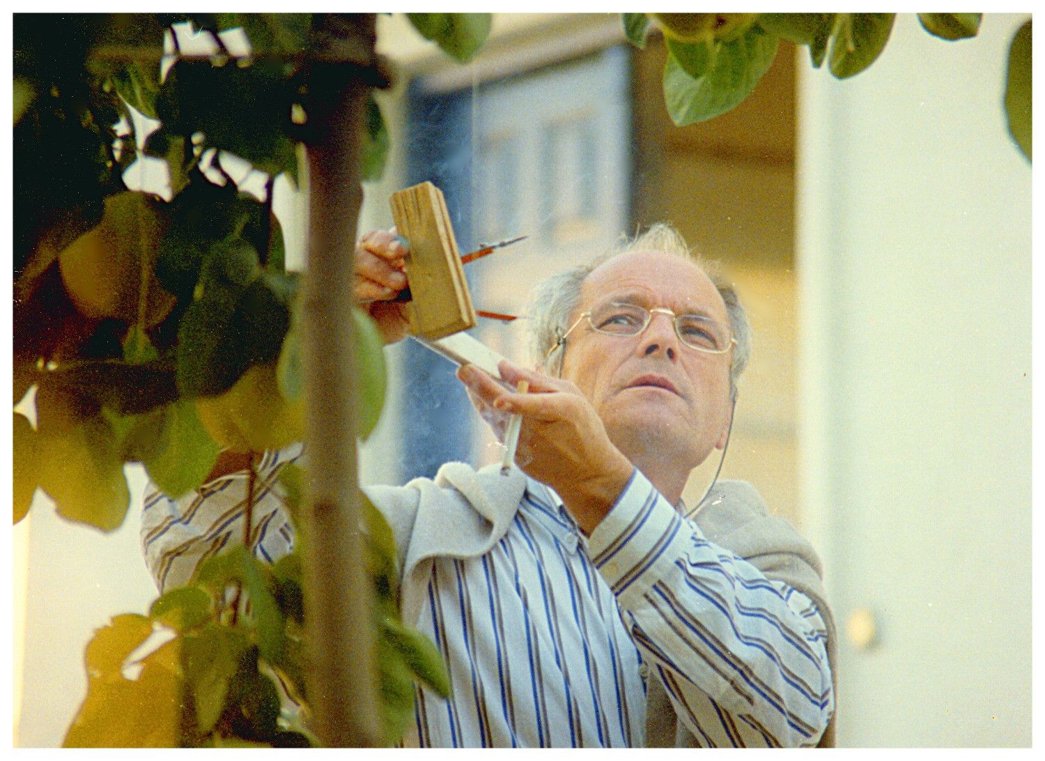 "El sol del membrillo", de Víctor Erice (1992). Per a l'article "Els subtítols del silenci"